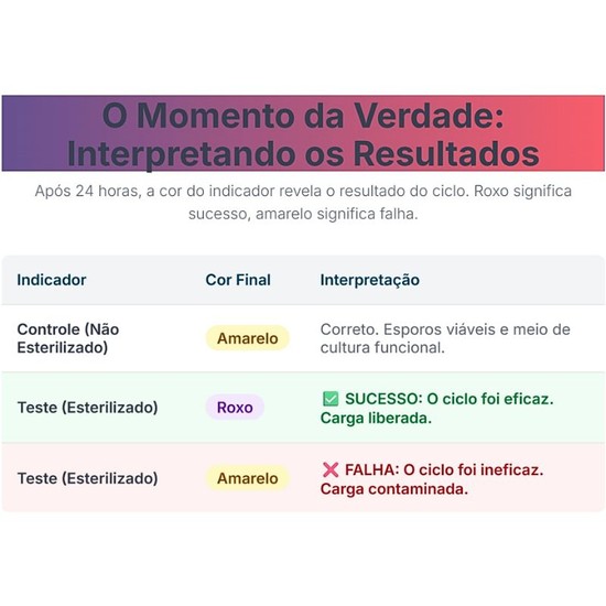 Indicador Biológico 24 Horas para Autoclave com 10 unidades - 2I